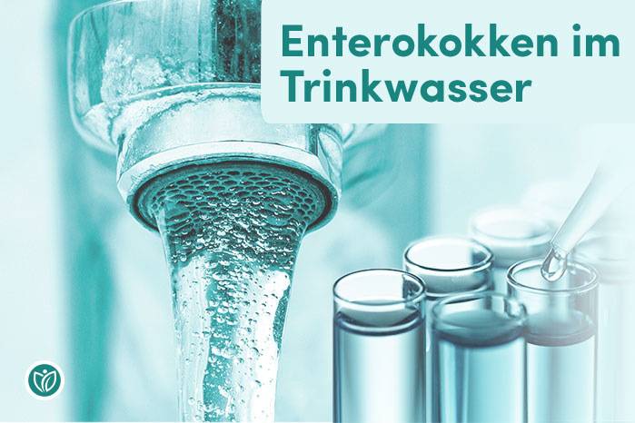 Enterokokken im Trinkwasser – Titelbild mit fließendem Leitungswasser und Probenröhrchen