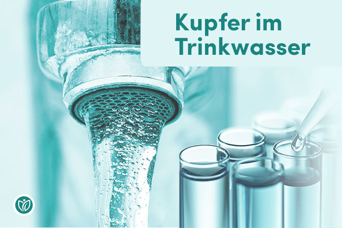 Kupfer im Trinkwasser Schaubild