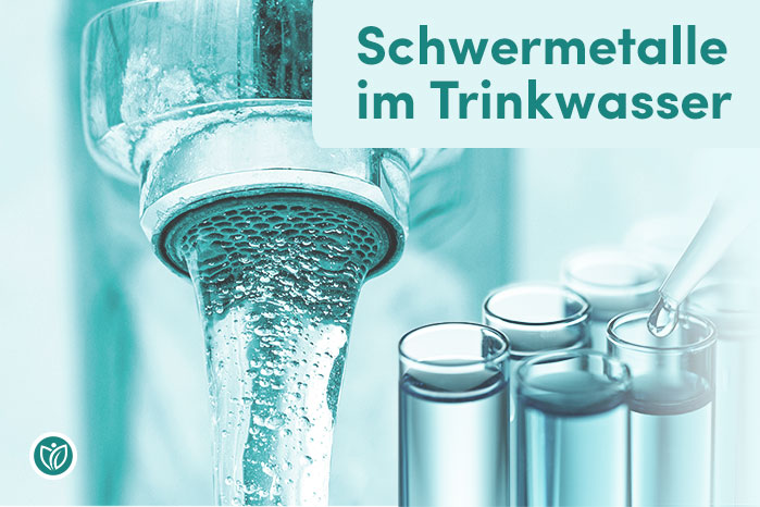 Schwermetalle im Trinkwasser - Artikel auf Vitalhelden.de