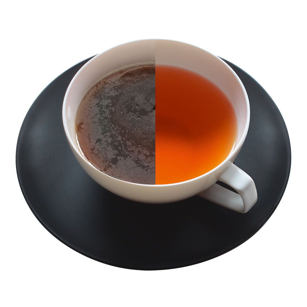 Bellima Wasserfächer – für klaren Tee und vollen Geschmack