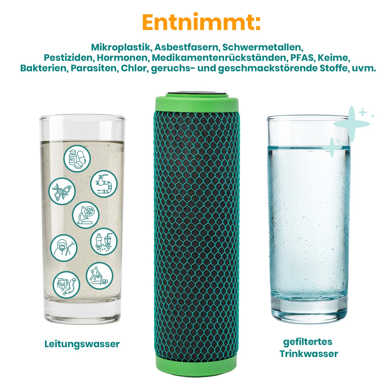 Filtereinsatz Carbonit GFP Premium Entnahme
