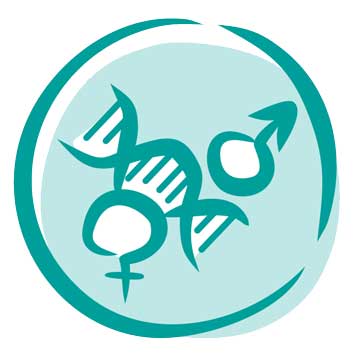 Icon Hormone
