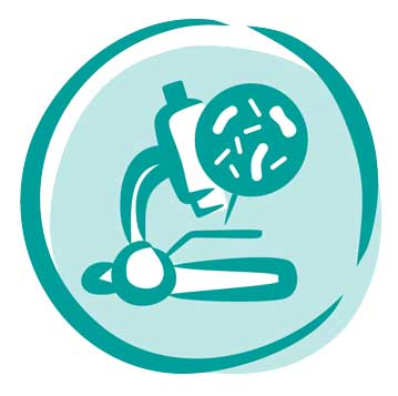 Icon Keime_Bakterien