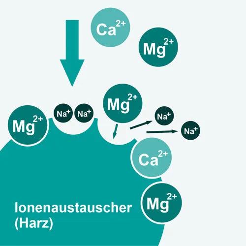Schaubild Ionenaustauscher