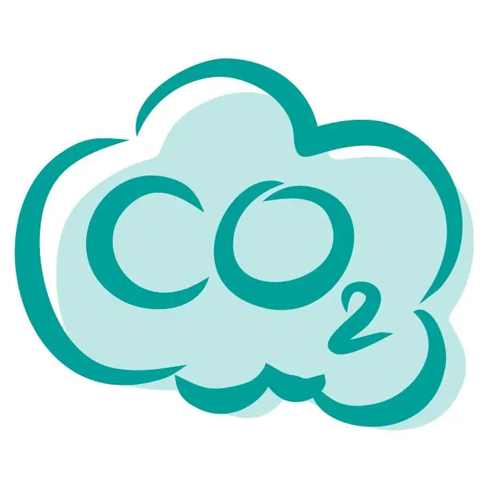 Icon CO2