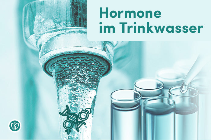 Hormone im Trinkwasser: Was Sie wissen müssen