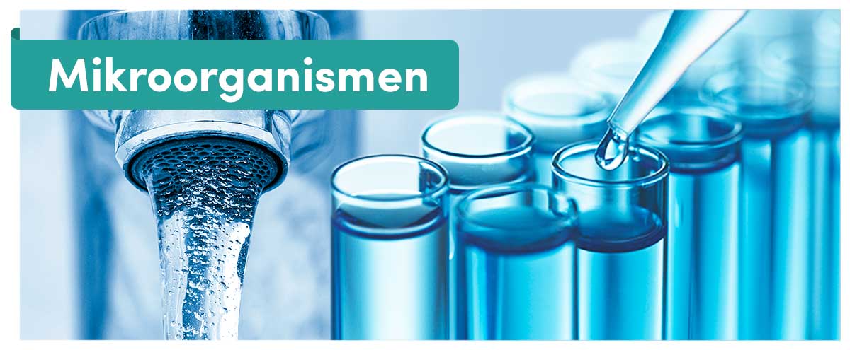 Mikroorganismen im Trinkwasser