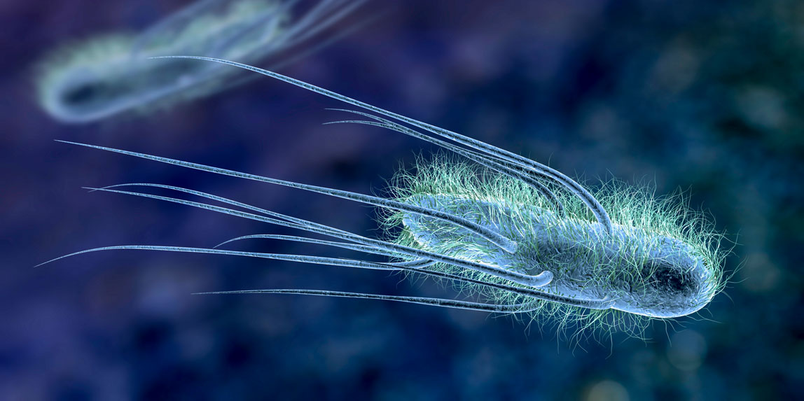 Coliforme Bakterien im Trinkwasser (Bildquelle: ID 515346692 katerynakon / depositphotos.com)
