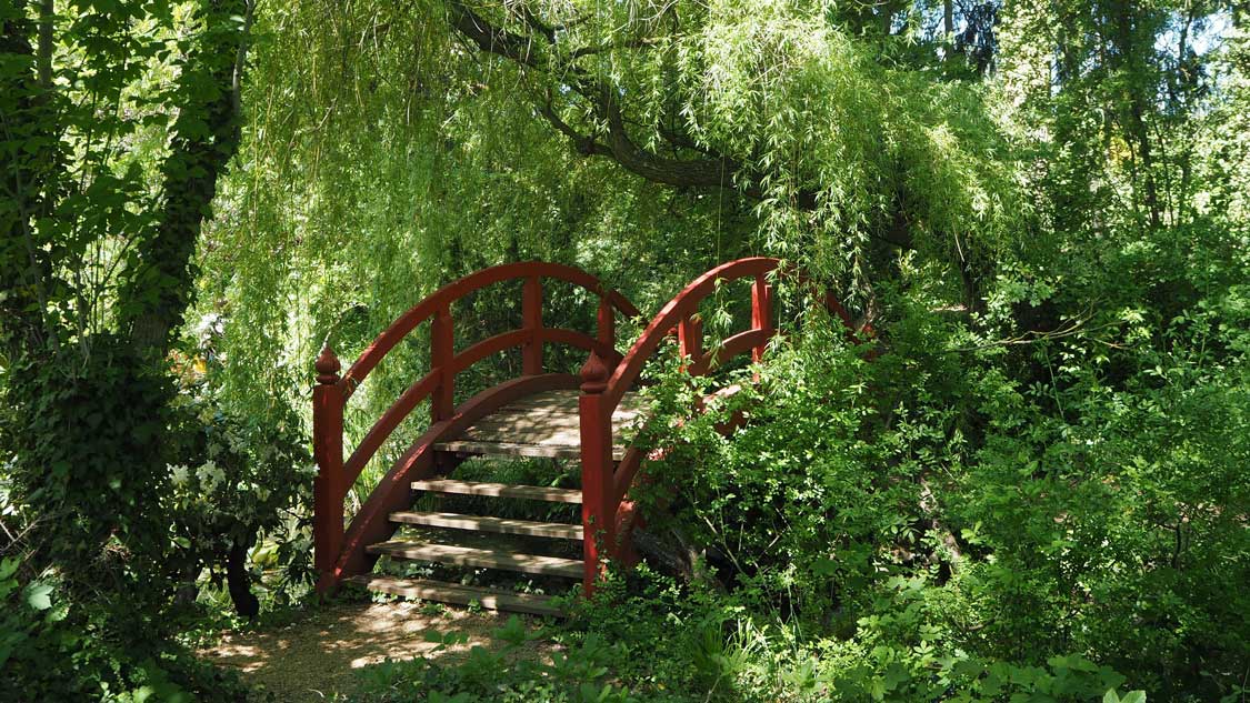 Gesund im Garten - wie ein Platz an der Natur mentales und körperliches Wohlergehen fördert