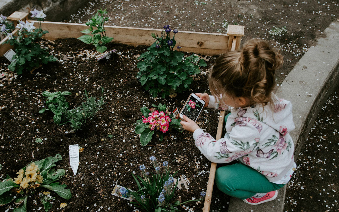 Ökologisch sinnvolle Do it Yourself Trends für den Garten