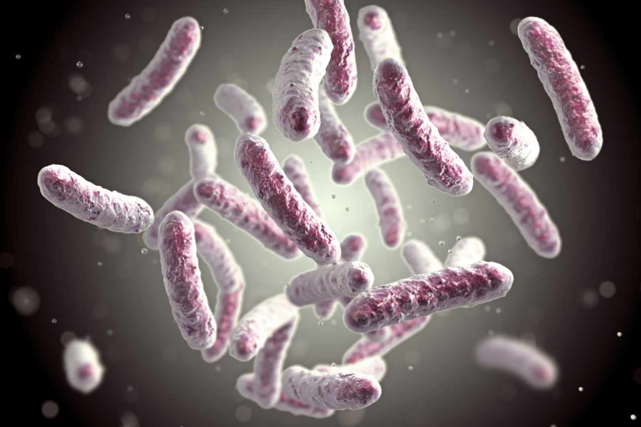 Pseudomonas Aeruginosa im Trinkwasser: Ein umfassender Ratgeber