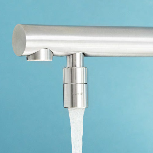 Alvito Wasserwirbler Viva am Hahn Florenz