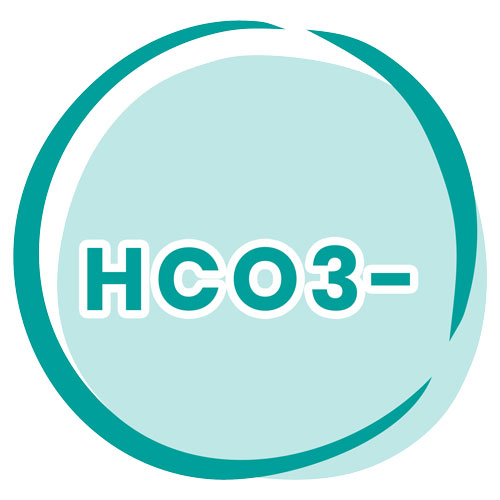 Icon Hydrogencarbonat
